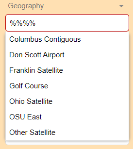 An example of the suggested results you get by typing 4 % symbols in the filter field.